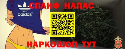 гашик Тверь