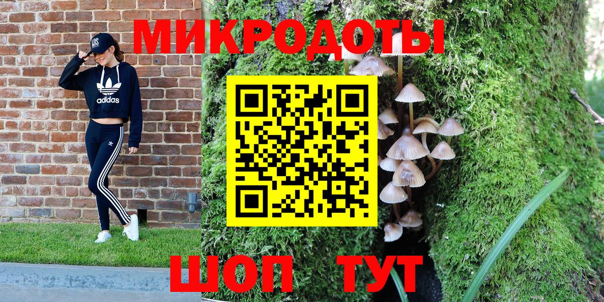 Галлюциногенные грибы мицелий Артём