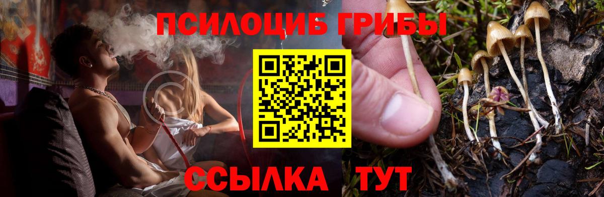 Артём  Галлюциногенные грибы MAGIC MUSHROOMS  Вход с VPN 